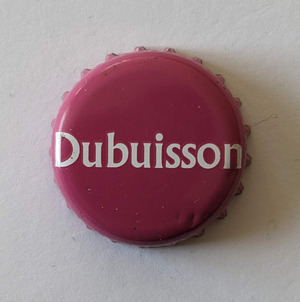 Brasserie Dubuisson, Brasserie Dubuisson